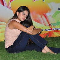 Sheena Shahabadi at Nuvve Naa Bangaram First Look Release Photos | Picture 599571
